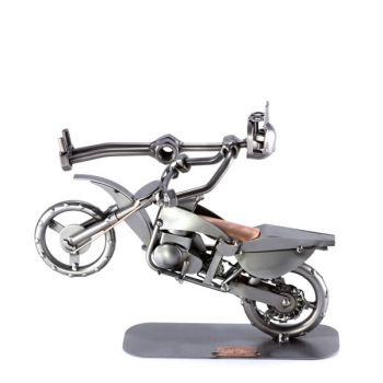 MOTOCROSS FREESTYLE